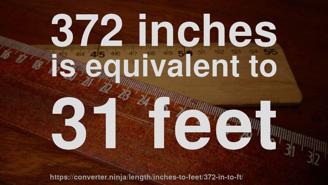 372 inches is equivalent to 31 feet