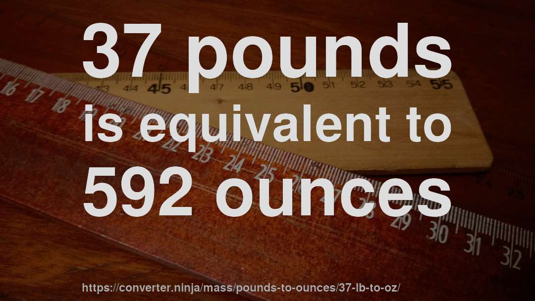 37 pounds is equivalent to 592 ounces