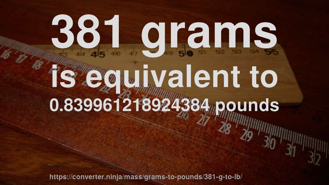 381 grams is equivalent to 0.839961218924384 pounds