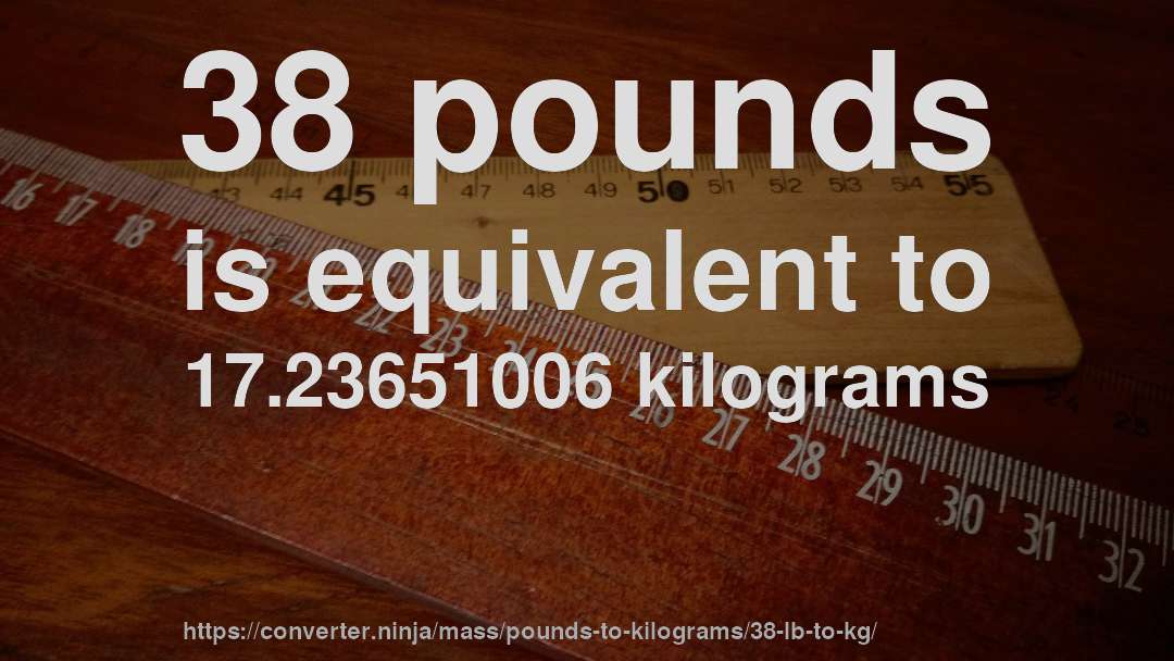 38 pounds is equivalent to 17.23651006 kilograms