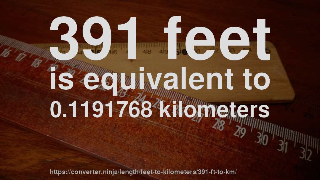 391 feet is equivalent to 0.1191768 kilometers
