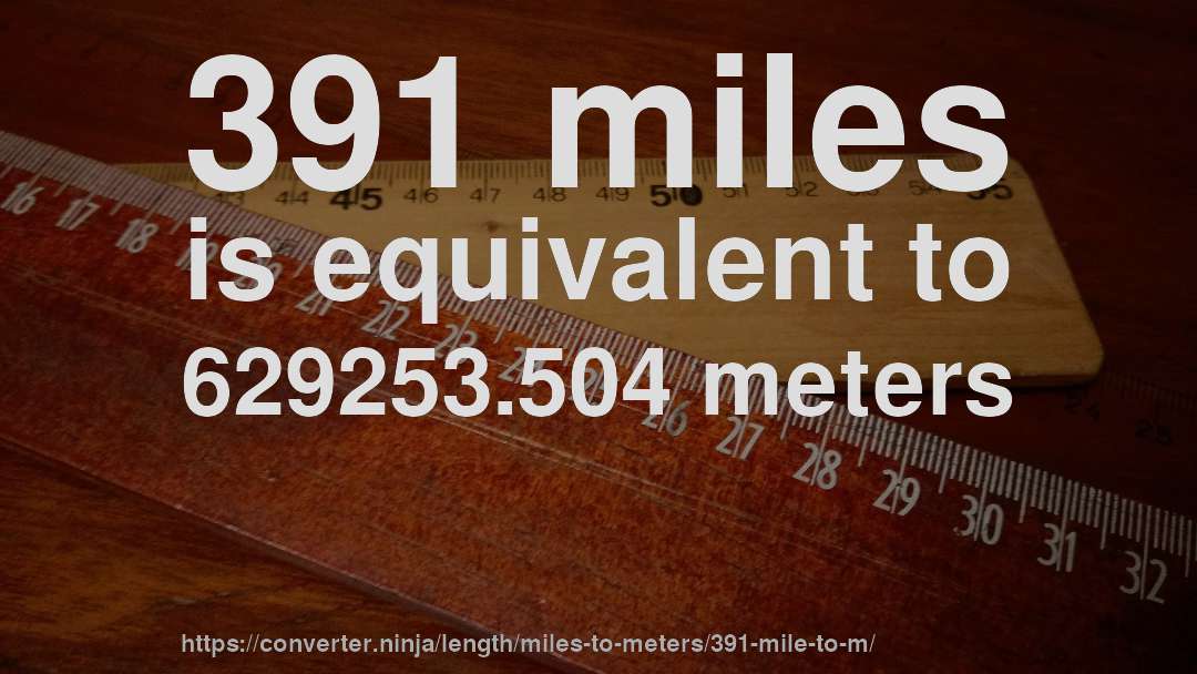 391 miles is equivalent to 629253.504 meters