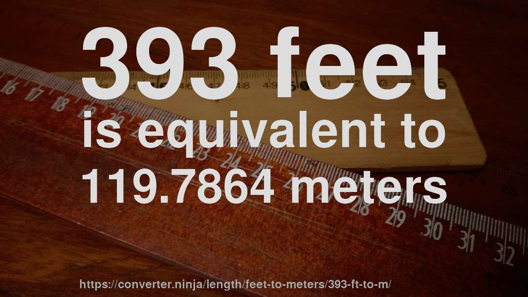393 feet is equivalent to 119.7864 meters
