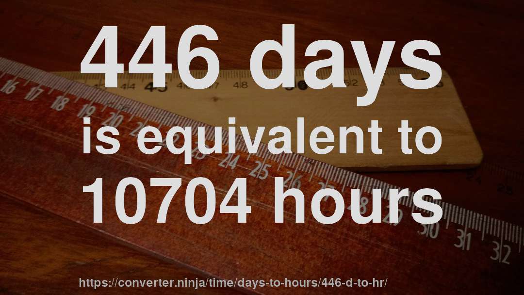 446 days is equivalent to 10704 hours