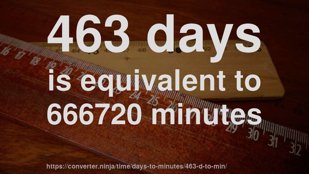 463 days is equivalent to 666720 minutes