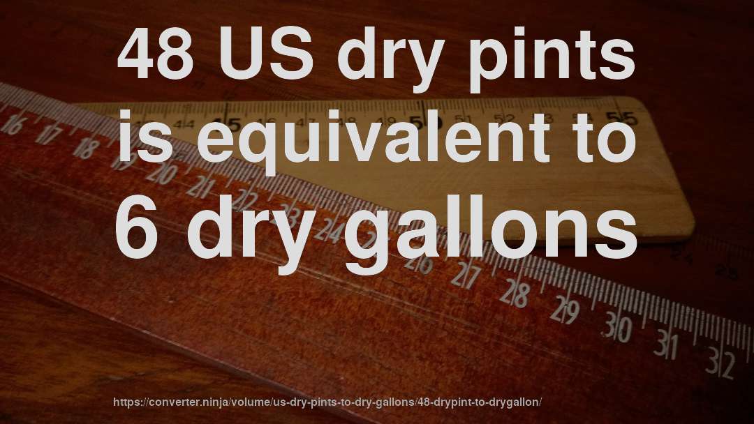 48 US dry pints is equivalent to 6 dry gallons