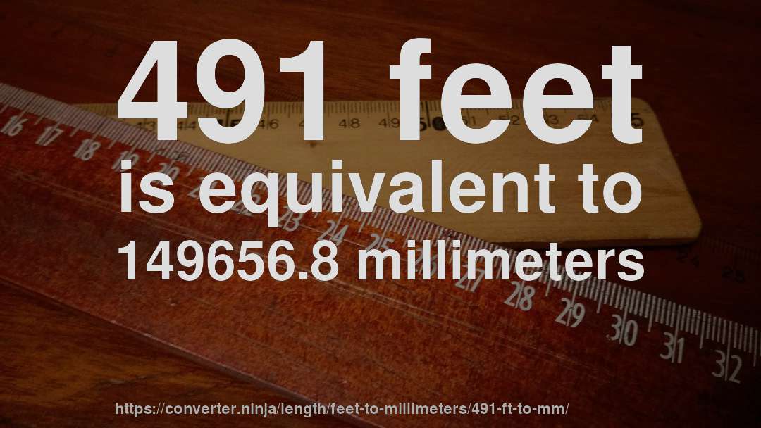 491 feet is equivalent to 149656.8 millimeters