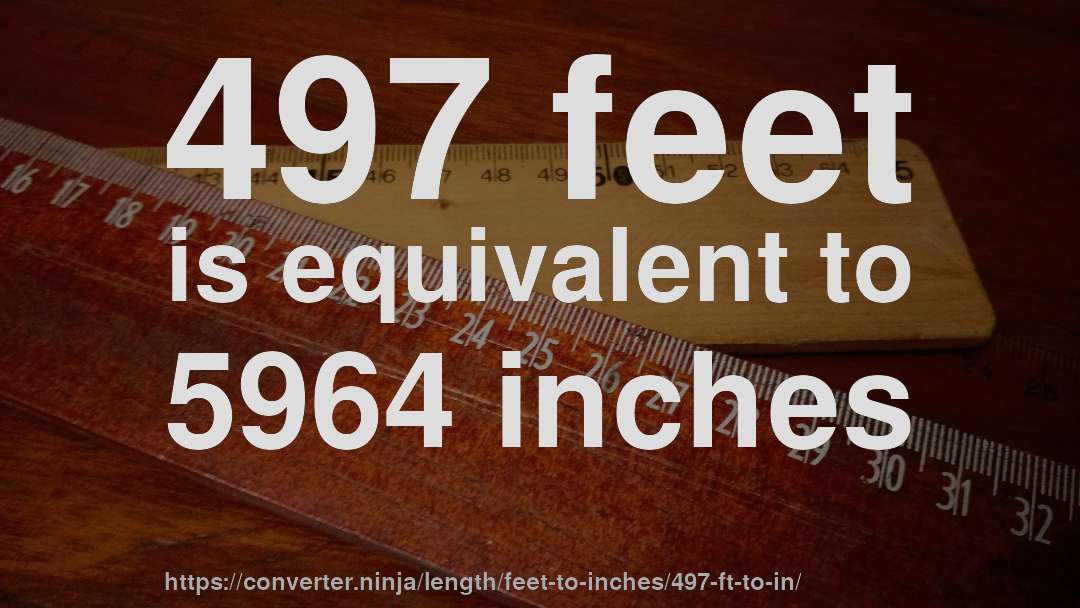 497 feet is equivalent to 5964 inches