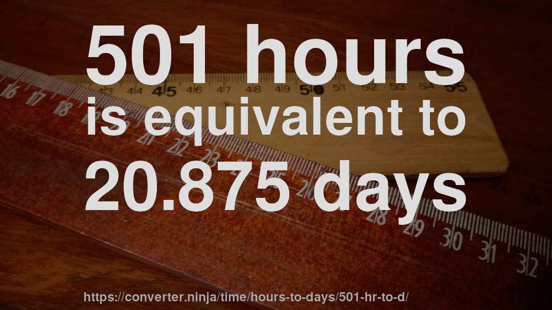 501 hours is equivalent to 20.875 days