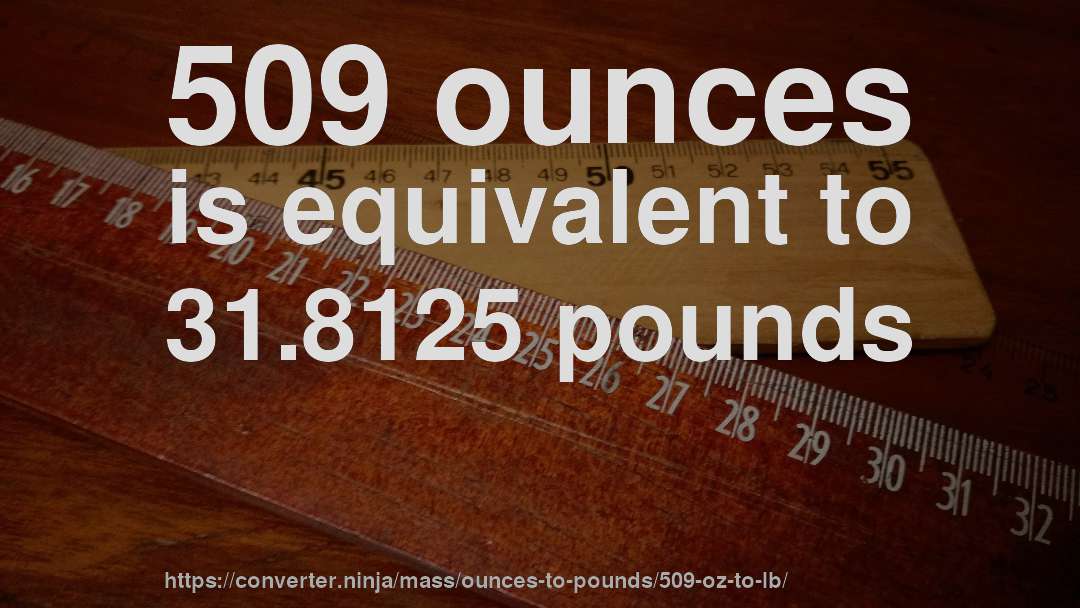 509 ounces is equivalent to 31.8125 pounds