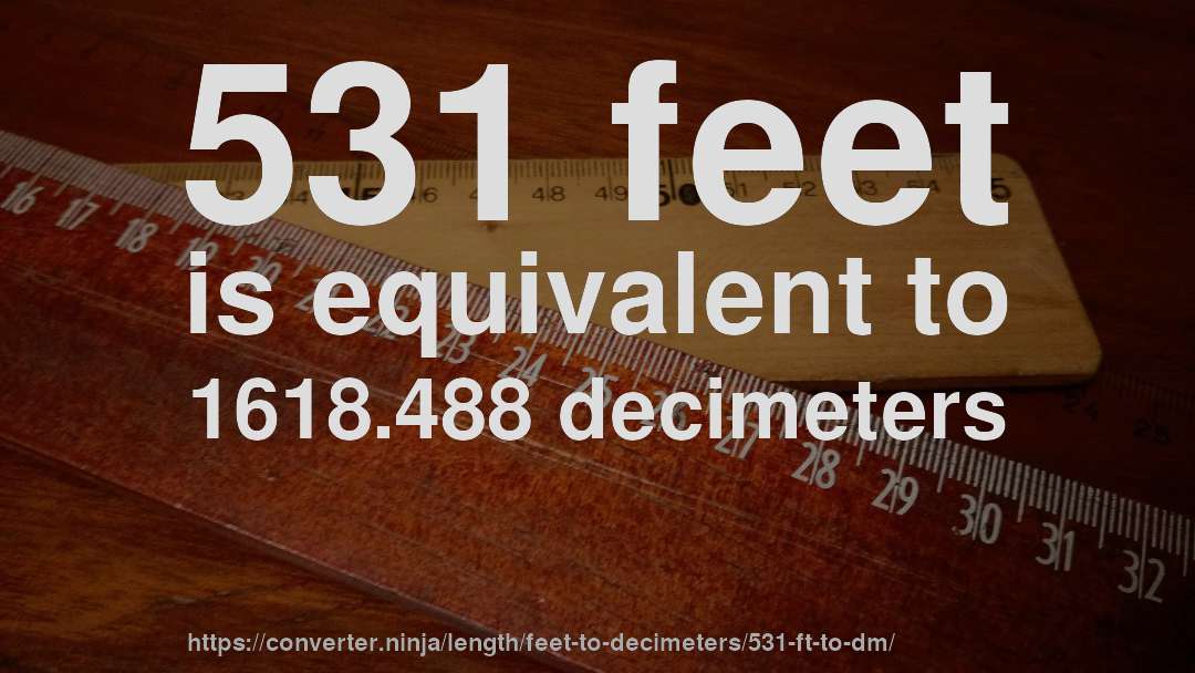 531 feet is equivalent to 1618.488 decimeters