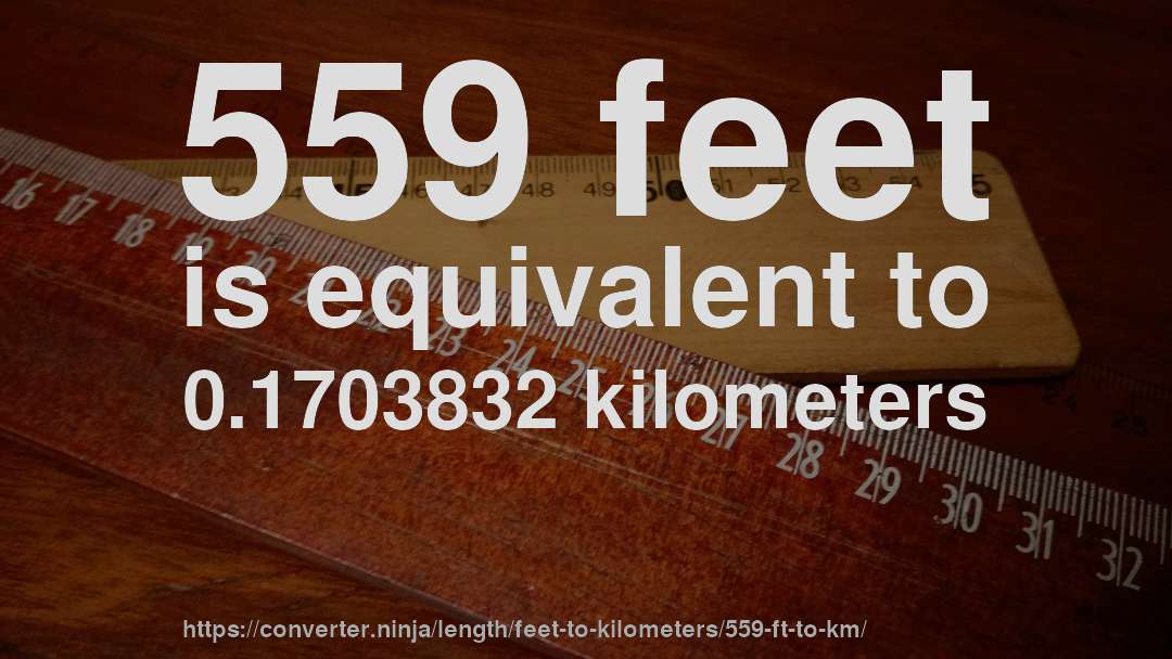 559 feet is equivalent to 0.1703832 kilometers