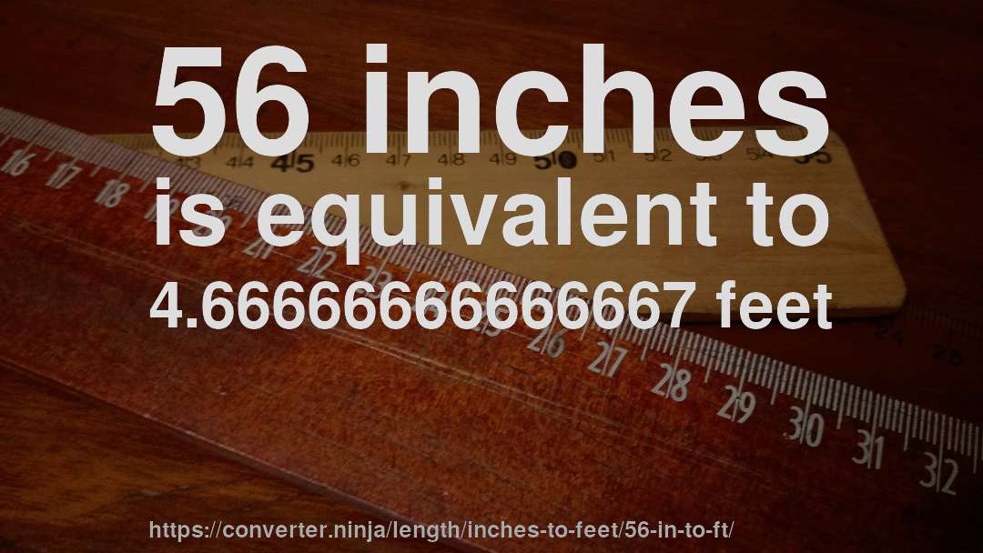 56 inches is equivalent to 4.66666666666667 feet