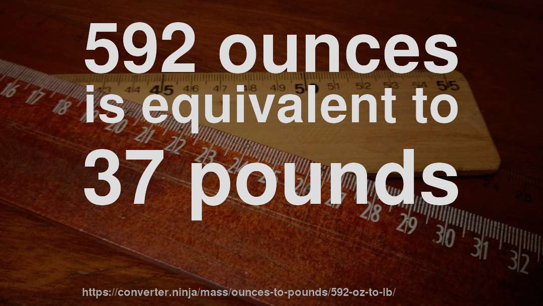 592 ounces is equivalent to 37 pounds