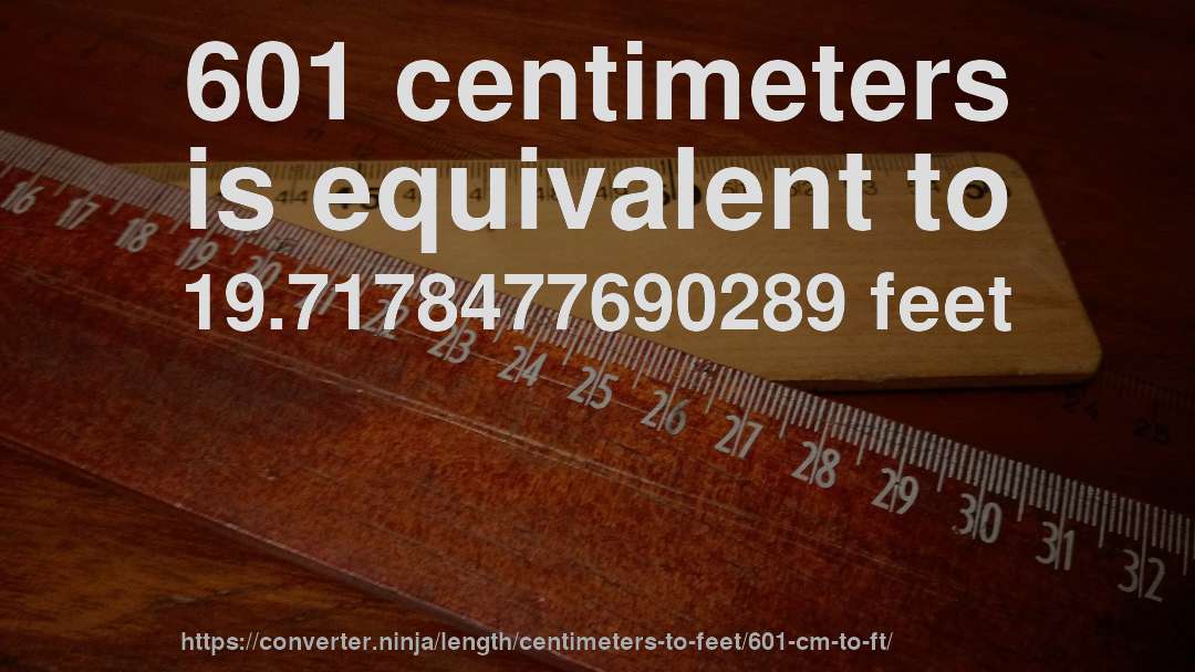 601 centimeters is equivalent to 19.7178477690289 feet