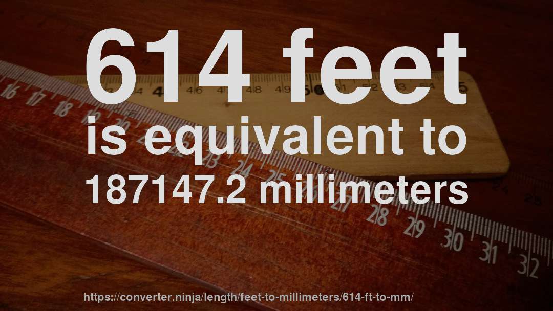 614 feet is equivalent to 187147.2 millimeters