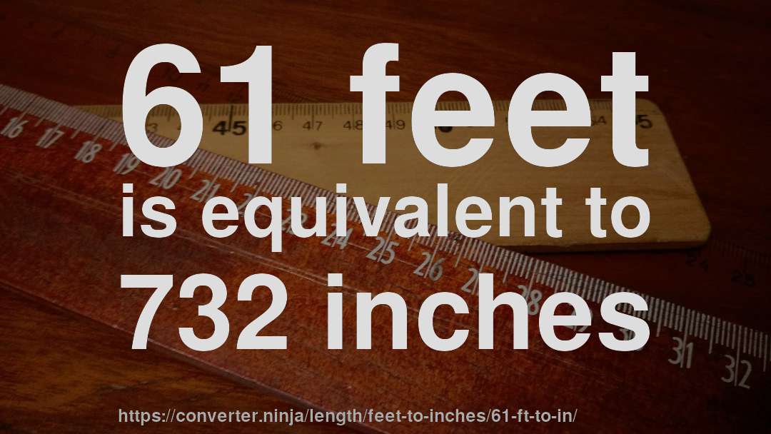 61 feet is equivalent to 732 inches