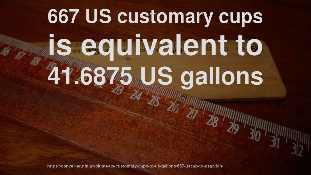 667 US customary cups is equivalent to 41.6875 US gallons