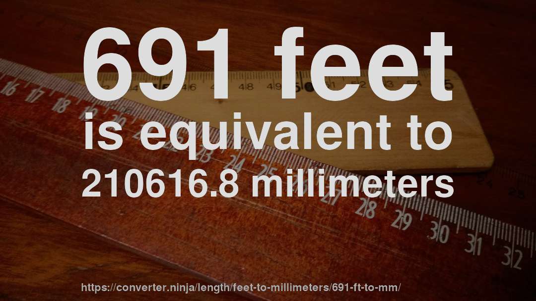 691 feet is equivalent to 210616.8 millimeters