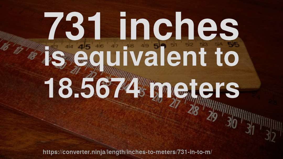 731 inches is equivalent to 18.5674 meters