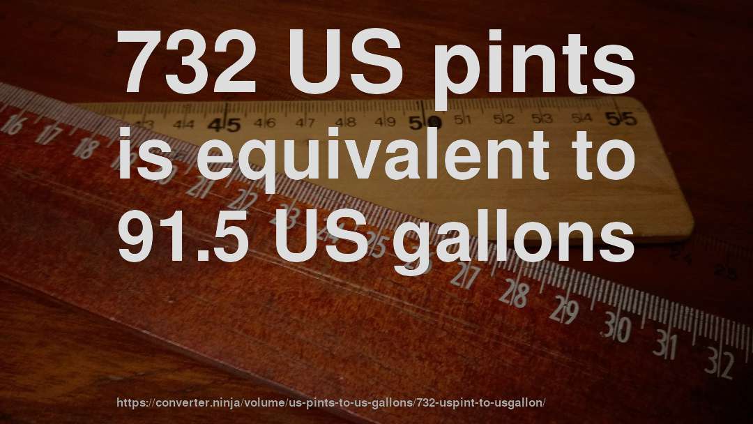 732 US pints is equivalent to 91.5 US gallons