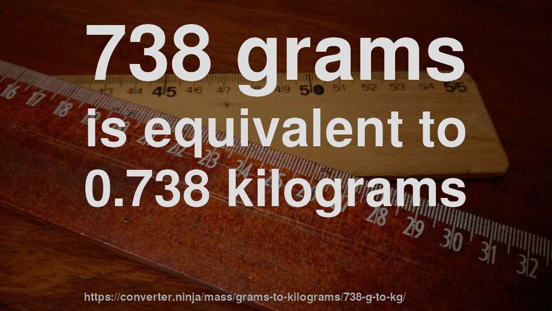 738 grams is equivalent to 0.738 kilograms
