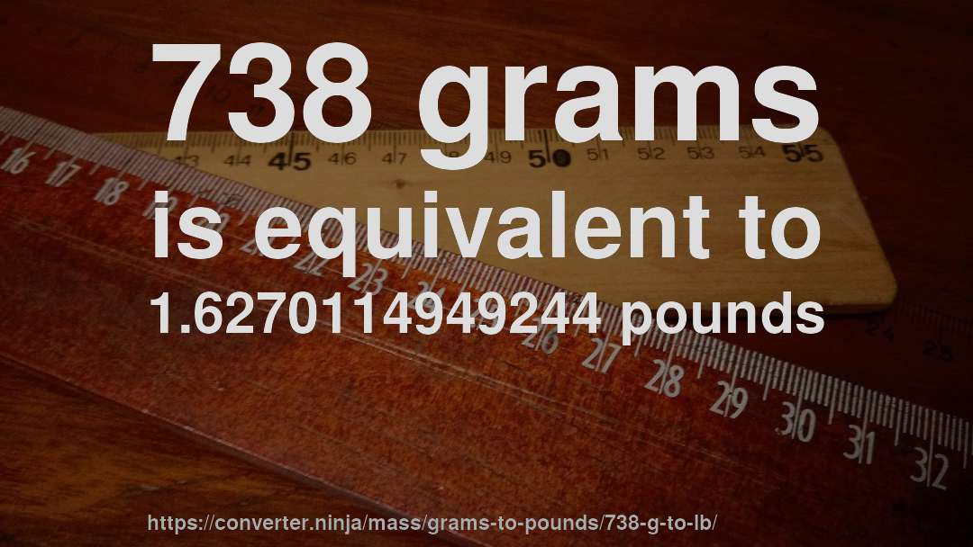 738 grams is equivalent to 1.6270114949244 pounds