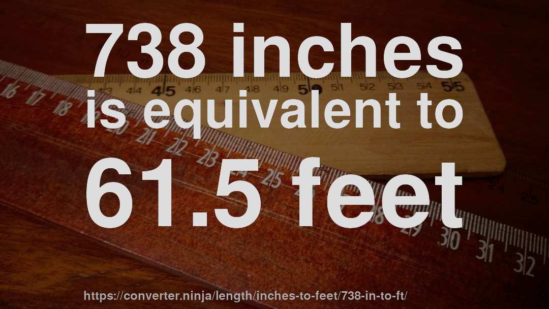 738 inches is equivalent to 61.5 feet