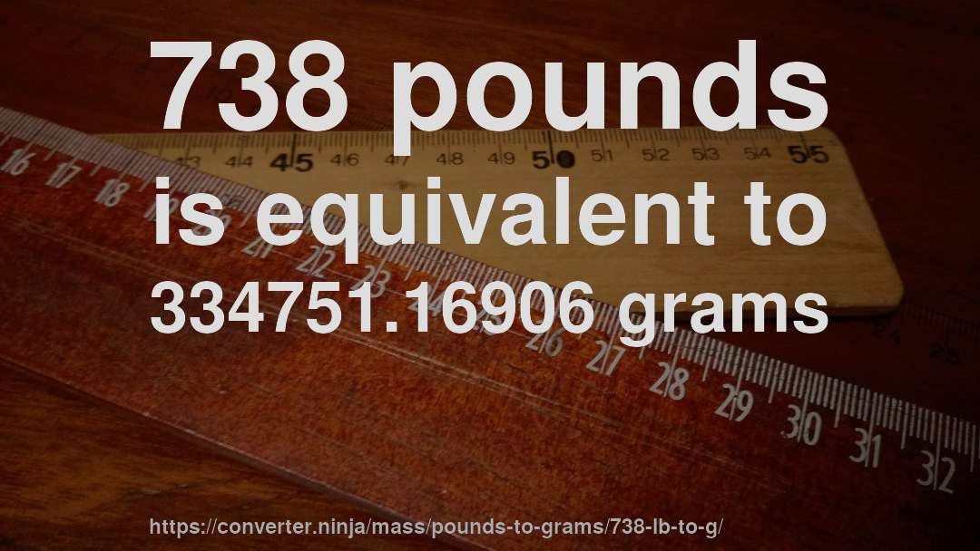 738 pounds is equivalent to 334751.16906 grams