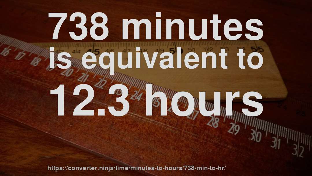 738 minutes is equivalent to 12.3 hours