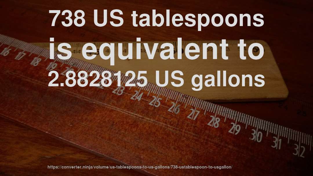 738 US tablespoons is equivalent to 2.8828125 US gallons