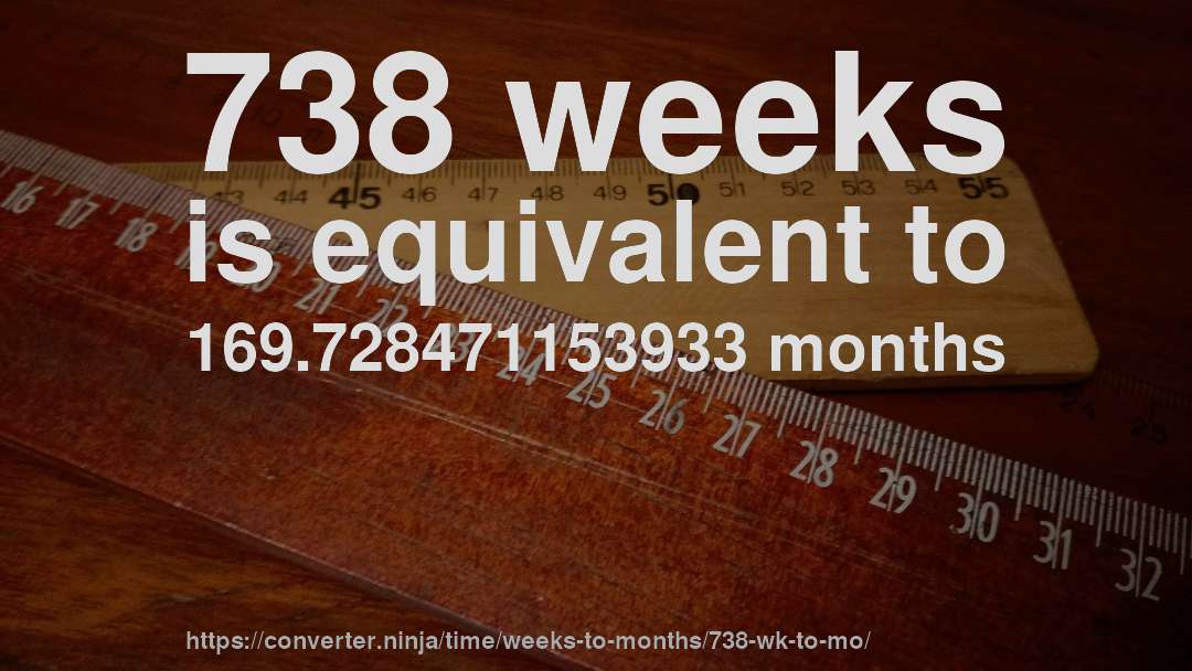 738 weeks is equivalent to 169.728471153933 months