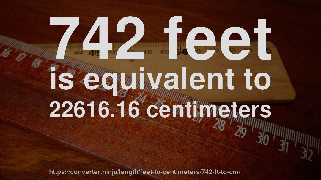 742 feet is equivalent to 22616.16 centimeters