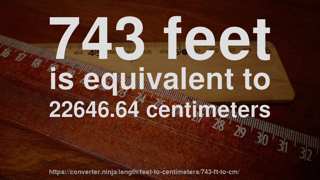 743 feet is equivalent to 22646.64 centimeters