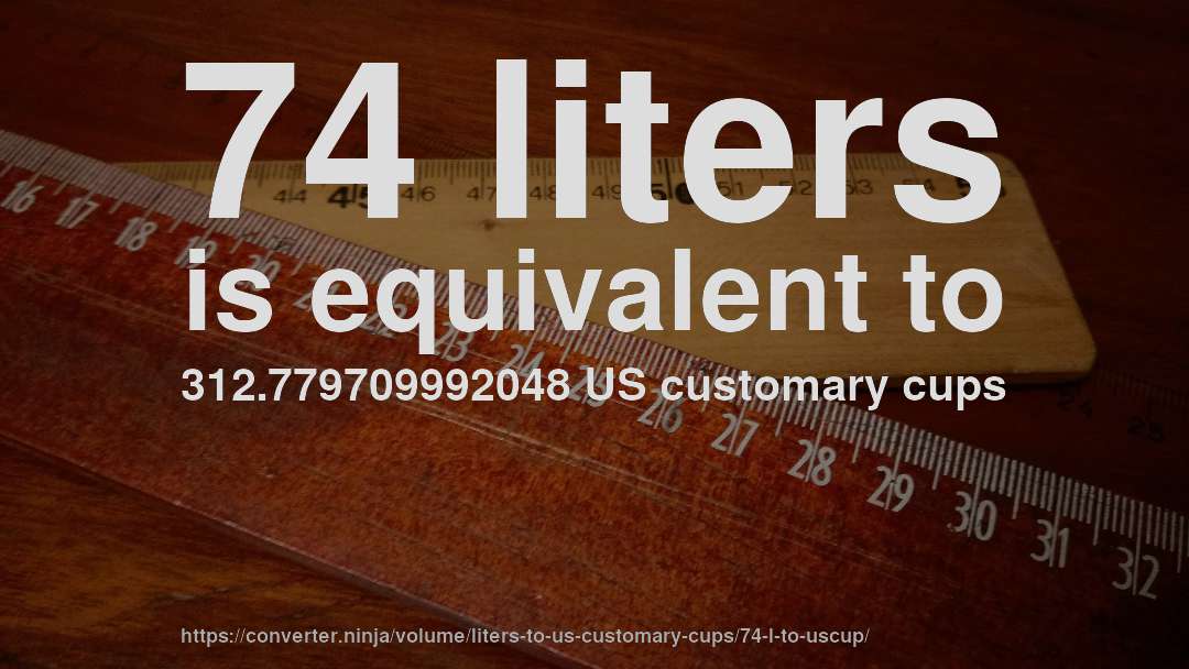 74 liters is equivalent to 312.779709992048 US customary cups