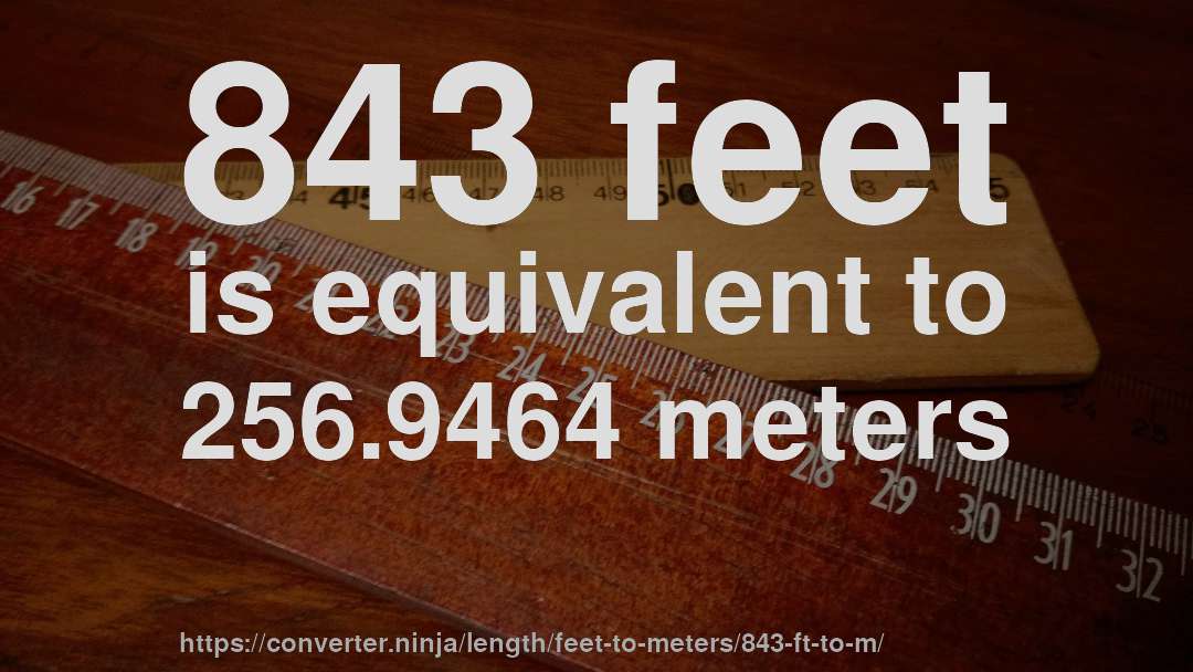 843 feet is equivalent to 256.9464 meters