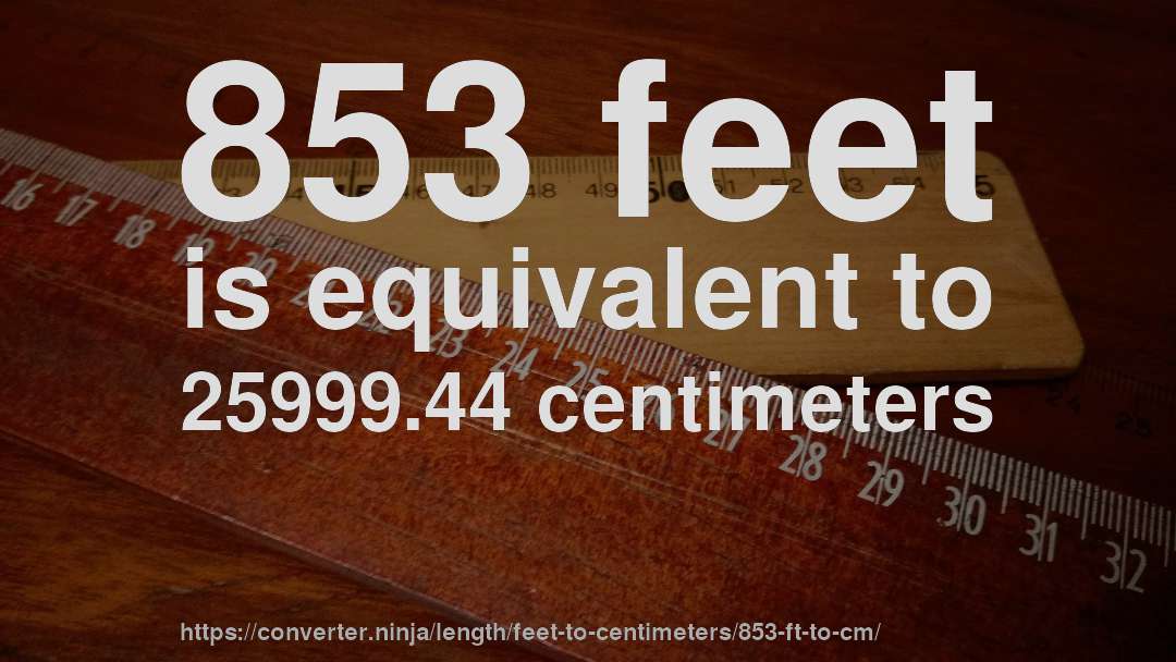 853 feet is equivalent to 25999.44 centimeters