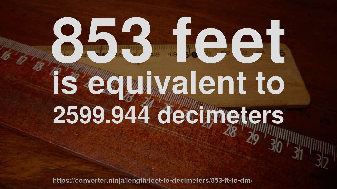853 feet is equivalent to 2599.944 decimeters