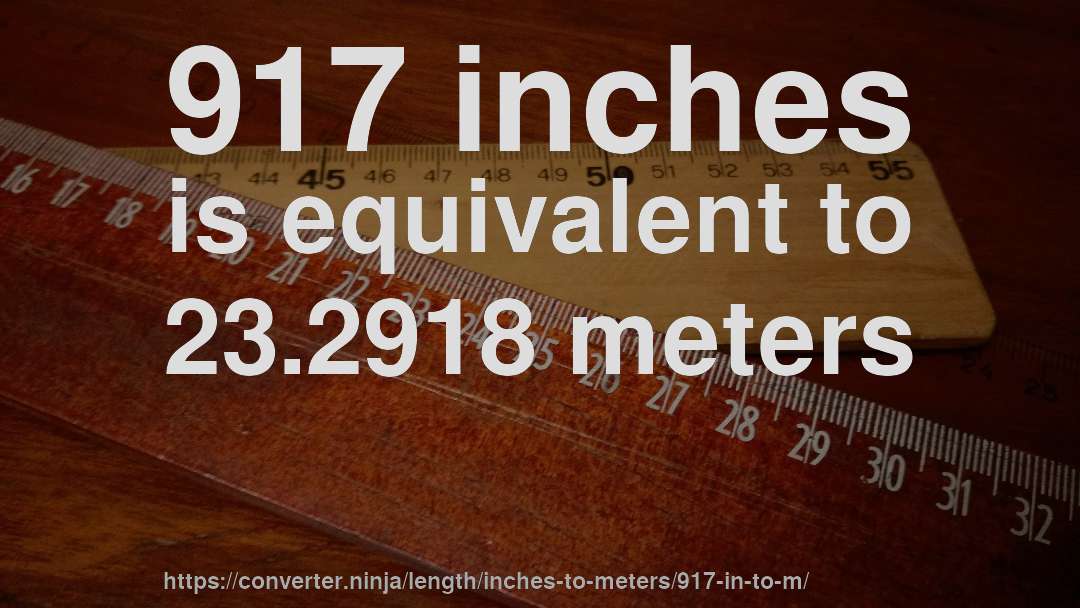 917 inches is equivalent to 23.2918 meters