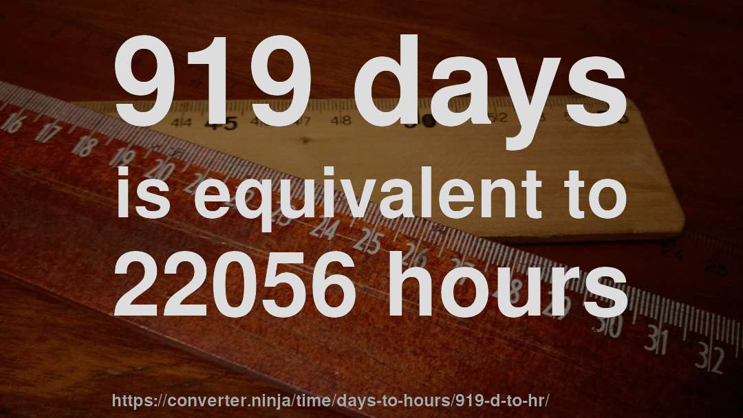 919 days is equivalent to 22056 hours