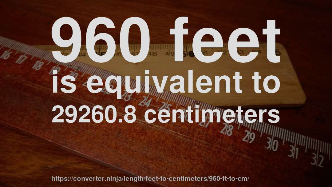 960 feet is equivalent to 29260.8 centimeters