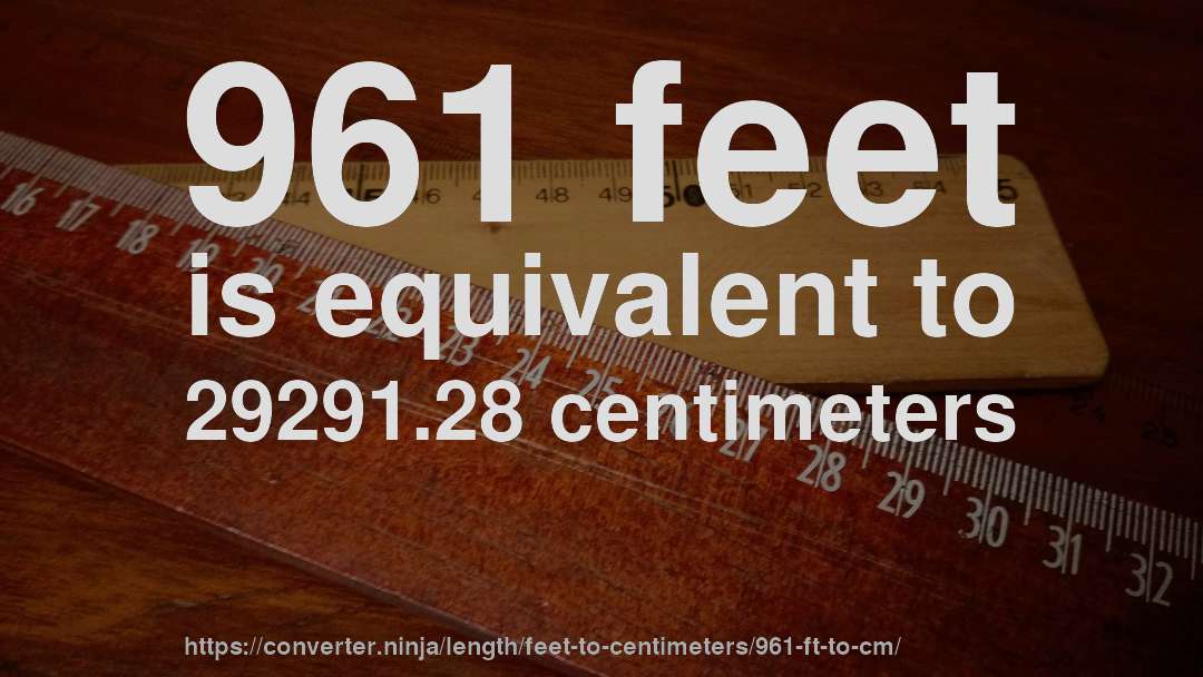 961 feet is equivalent to 29291.28 centimeters