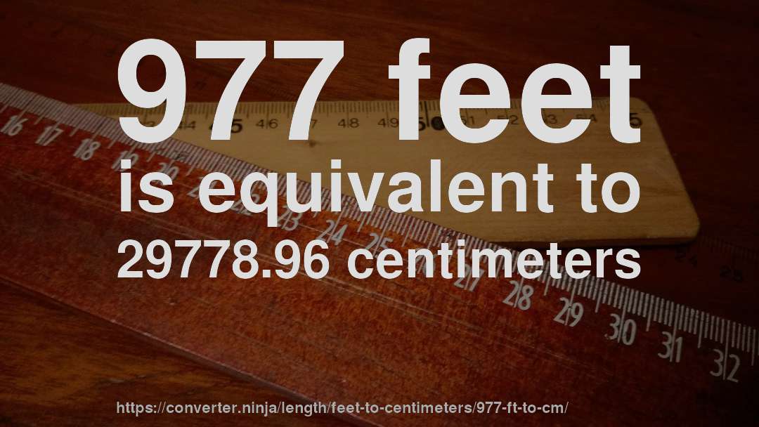977 feet is equivalent to 29778.96 centimeters