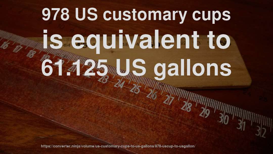 978 US customary cups is equivalent to 61.125 US gallons