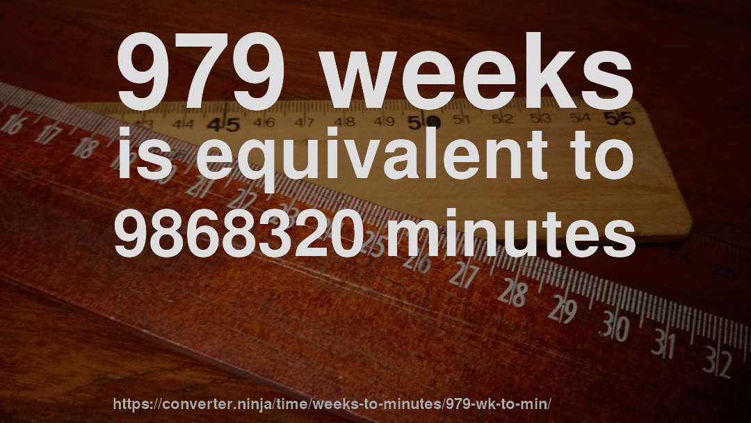 979 weeks is equivalent to 9868320 minutes