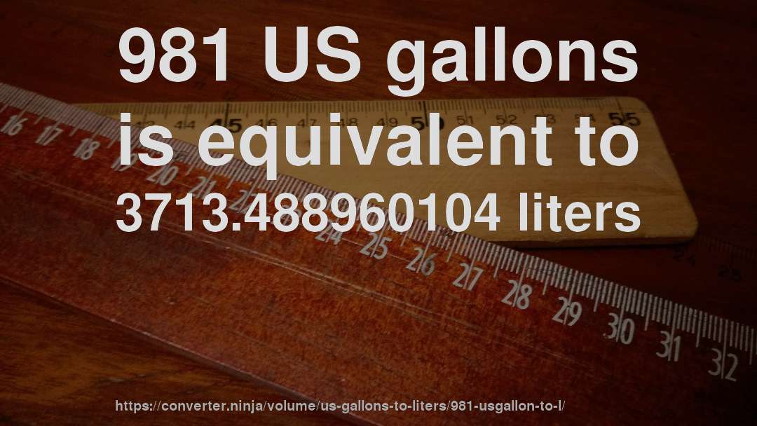 981 US gallons is equivalent to 3713.488960104 liters