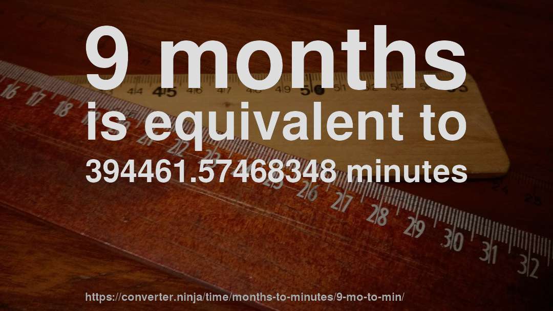 9 months is equivalent to 394461.57468348 minutes
