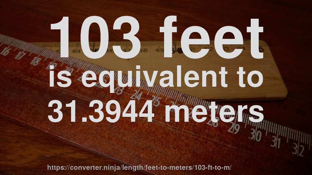 103 feet is equivalent to 31.3944 meters