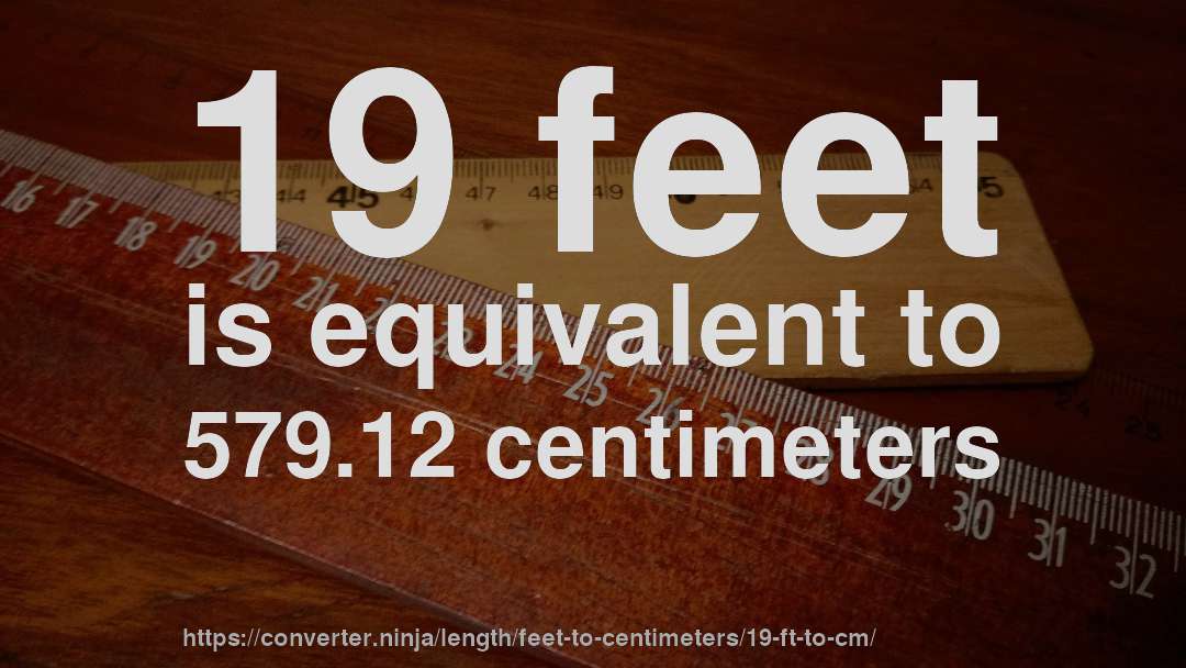 19 feet is equivalent to 579.12 centimeters