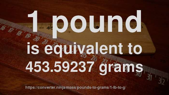 1 lb to g - How much is 1 pound in grams? [CONVERT]